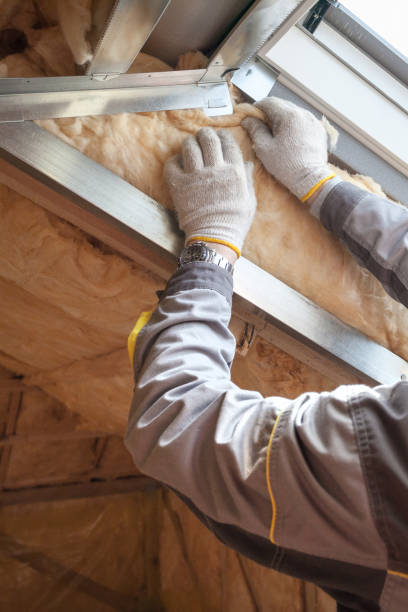 Best Geographic-Specific Insulation Services in Avon, OH